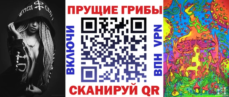 Купить где  Курлово  Псилоцибиновые грибы мицелий 